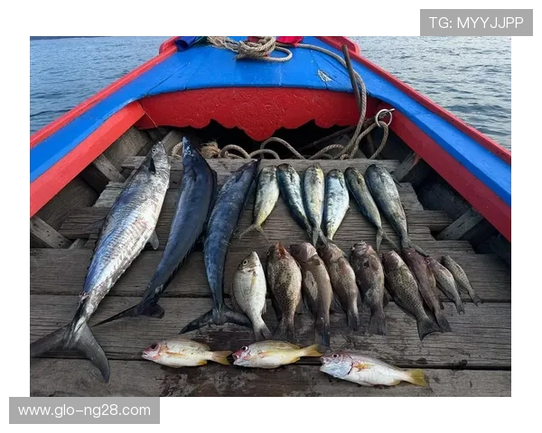 无需下载即玩钓鱼传奇游戏版畅享钓鱼乐趣立即体验真实海钓感觉